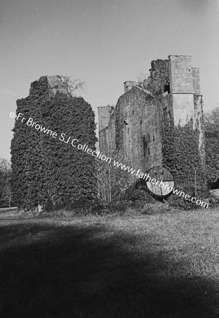 BIRR CASTLE  RUINS OF TELESCOPE HOUSE AND DETAILS